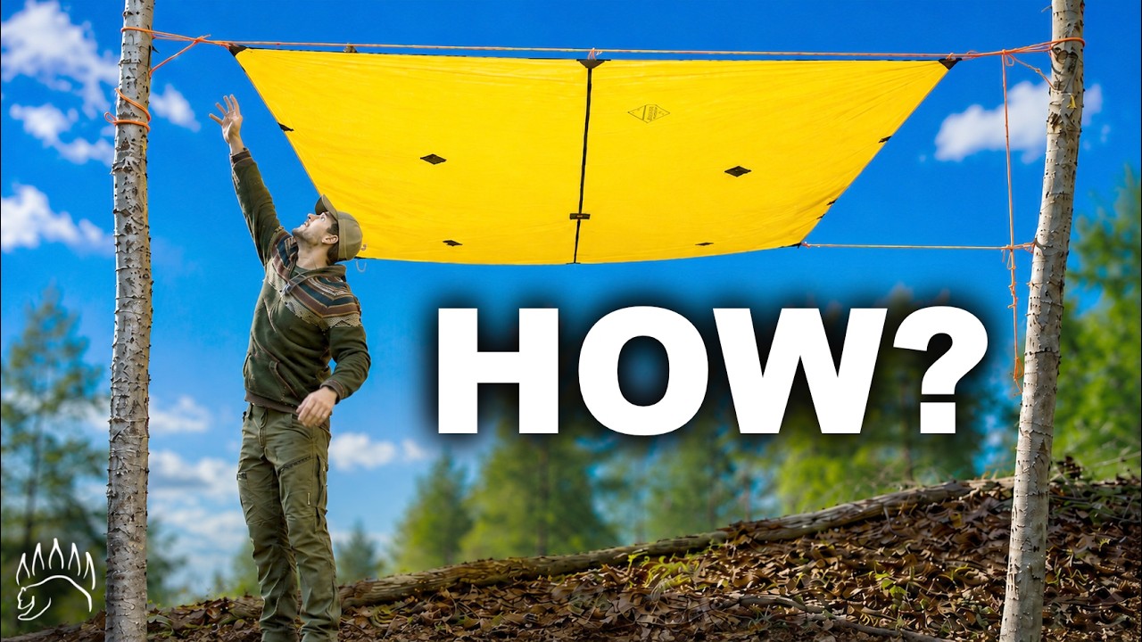 Original Title & Thumbnail