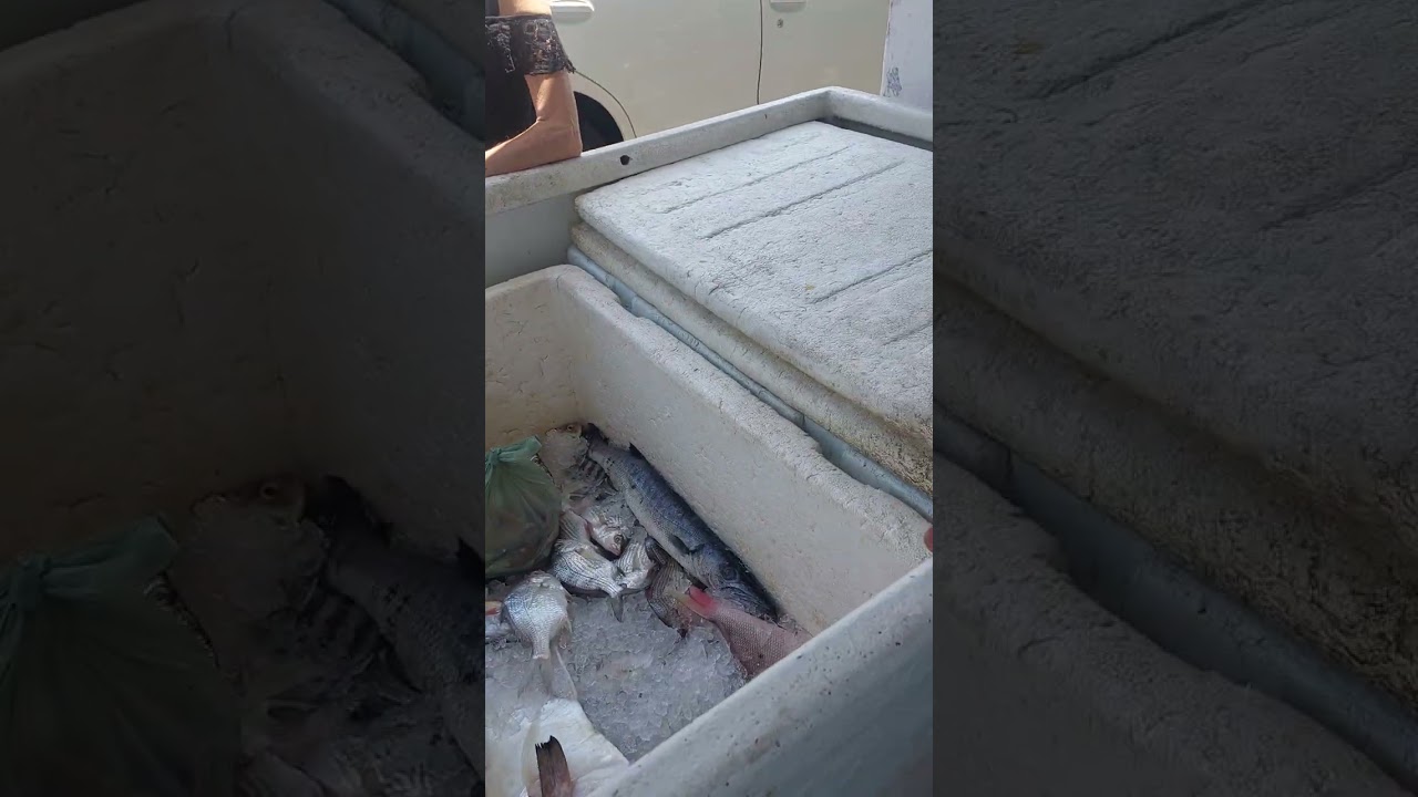 AREIA BRANCA RN Terra do peixe 🐟 Barato 