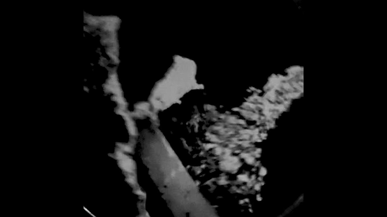 G.xist - Metamorphosis