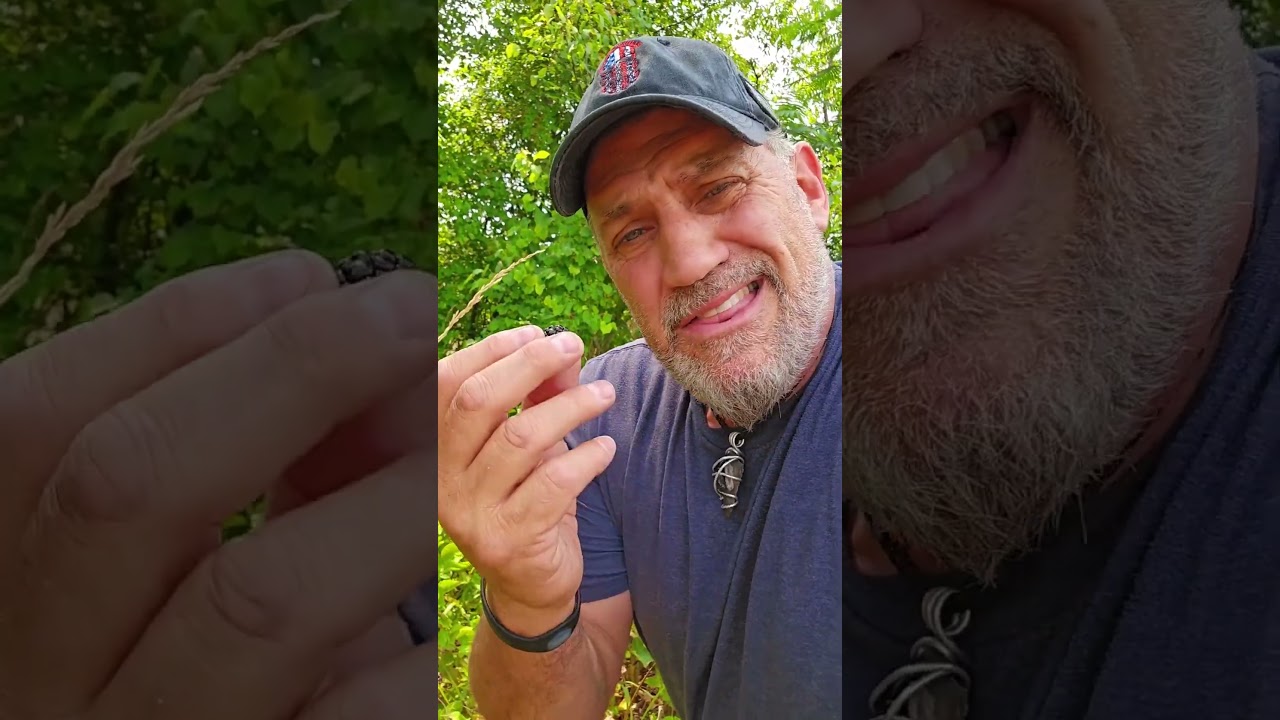 🌿Foraging 101: Discover the Joys of Wild Blackberries!🌿