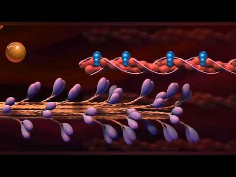 نظرية الخيوط المنزلقة