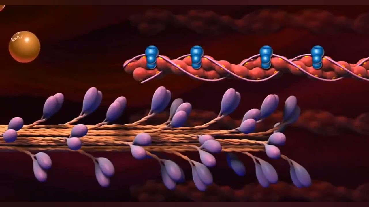 نظرية الخيوط المنزلقة
