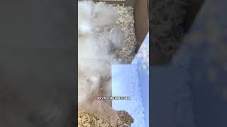 Innenansicht Üschmors