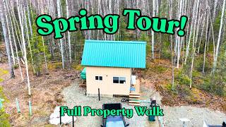 Spring Finally Hit My Alaska Cabin – Full Property Tour & Future Plans