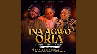 Ina Agwo Oria (30 Minutes Extended Deep Igbo Worship) (feat. Seed Of Grace & Lilian Chinwe G) - Praise Marshal