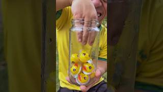 Kuhduifjfifogeghirsfui