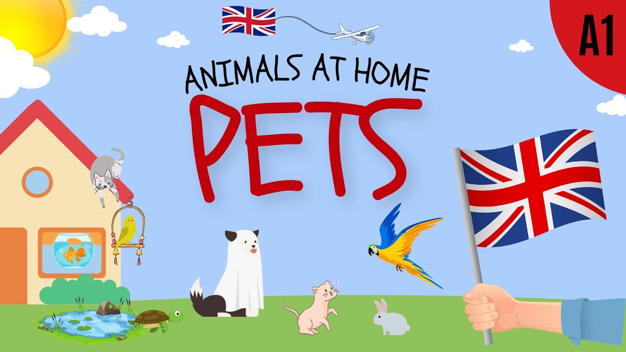 Pets Vocabulary  Animals at home  English ESL Lesson