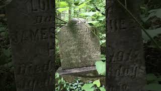 The Grave of young Lois Cecilia Hickey Forgotten in The Woods #cemetery #forgotten #shorts