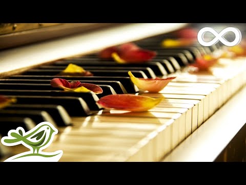 Relaxing Piano Music: Sleep Music, Meditation Music, Soothing Music,  Calming Music ☆77 - YouTube