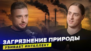 картинка: Как окружающая среда влияет на наш интеллект? | Нейробиолог Владимир Алипов | Сортировочная
