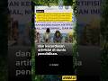 Pemerintah Atur Penggunaan AI untuk Siswa SD-SMA, Pelajar Kini Tak Bisa Asal Pakai ChatGPT?