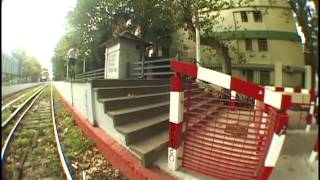 Animal Bikes Qss 5 The Price Is Wrong