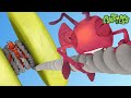 Yo-Yo 🐜 Antiks - Lustige Cartoons für Kinder | Moonbug Kids Deutsch