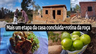 Paredes concluídas/as colunas das áreas começando a fazer+ colhendo tomates e almoço do dia 