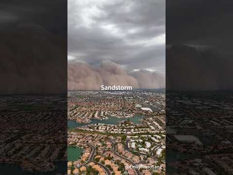 Watch the Dust Wall Move In 😱#Duststorm#nature#disaster#wind#weather thumbnail