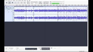 I finally discovered the 'effect' tab in Audacity (Tree Among Shrubs edit)