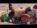Terörsüz Türkiye ile Kato dağı yaylaları tekrardan göçerlerin yuvası oldu