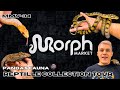 Panda's Fauna VERY RARE Reptile Collection Tour Part 1