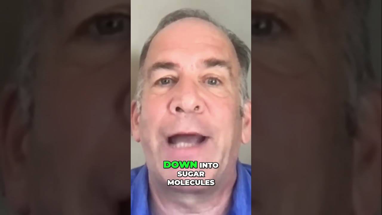 The Truth About Kibble  Debunking the Teeth Cleaning Myth