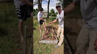 Our Garlic Bed Grew WAY More Than Expected