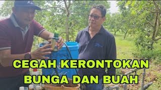 CARA AGAR BUNGA DAN BUAH TIDAK RONTOK screenshot 3