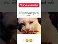 තියපිය ෆෝන් එක 😂