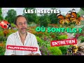 Disparition des insectes  que se passetil  qspt 15 philippe grandcolas partie 1
