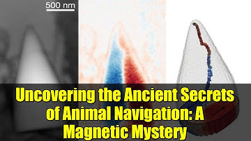 Uncovering the Ancient Secrets of Animal Navigation: A Magnetic Mystery