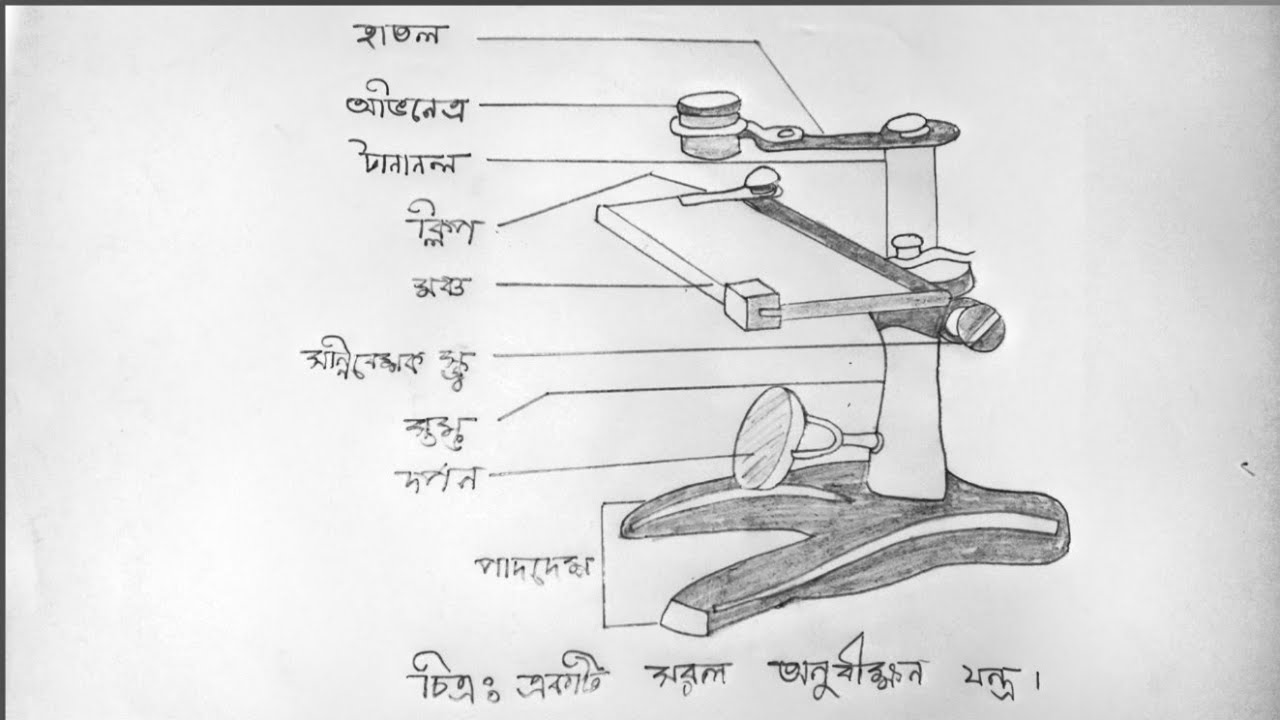 সরল অণুবীক্ষণযন্ত্র আকার সহজ পদ্ধতি // How to draw microscope step by ...