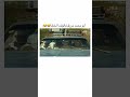 #اكسبلور #explore #fyp #shorts