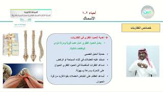 الأسماك (ص 38 ) - الأحياء (2-1) - المسار العام والصحة والحياة - السنة الثانية