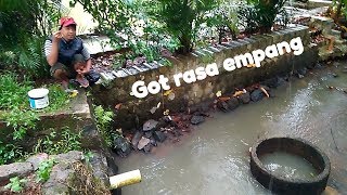 Spot Wader Beunteur Di Acak Acak Beko