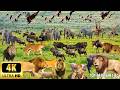 African Wildlife 4K: Namibia & Etosha 4K - African Musical Safari Movie