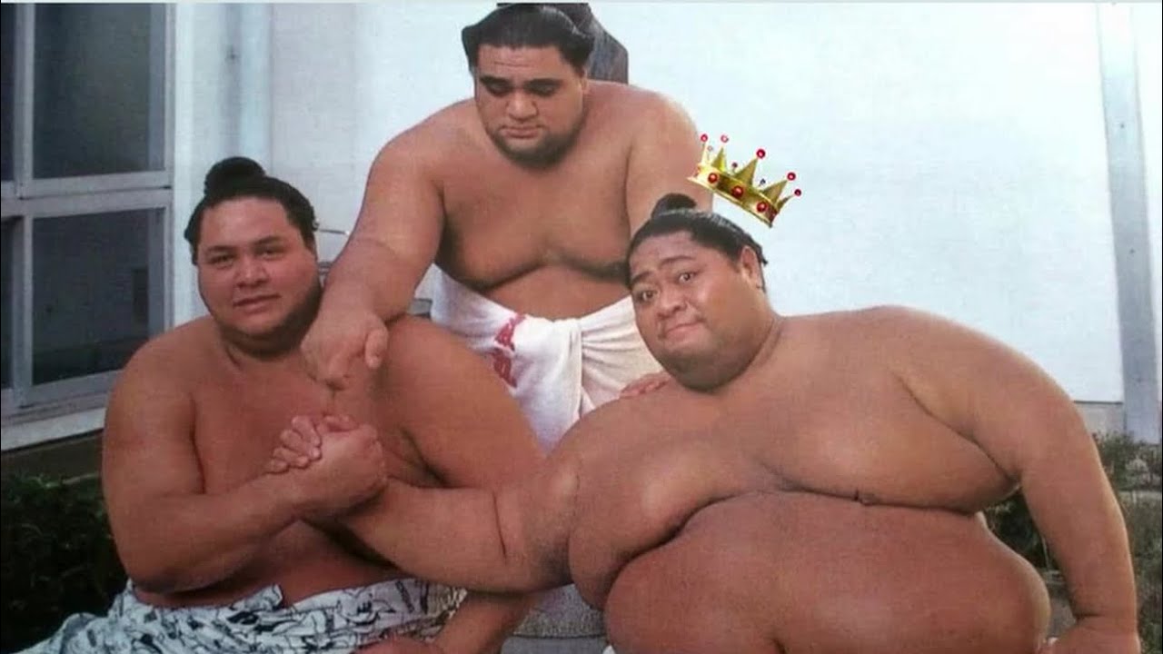 Сумо День 6 Токио 2026 Январь 