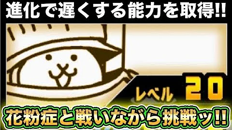 ニャンコ大戦争ねこさむらい第三形態