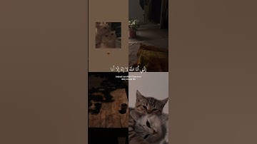 القارئ : أحمد خضر