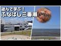 遊んで学ぶ！ふなばし三番瀬