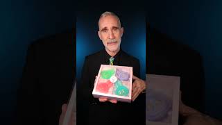 Rich guy tries crunchy crystal candy Labubus from Crystal’s Gems #asmr #crunchysounds