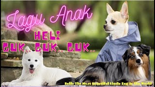 Download lagu Heli - Anjing Kecil | Lagu Anak Indonesia Populer | Helly The Most Beautiful Little Dog In The World