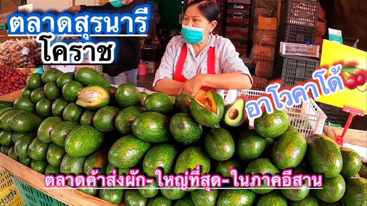 ตลาดสุรนารีโคราช | ตลาดกลางค้าส่งพืชผัก-ผลไม้ | ใหญ่ที่สุดในภาคอีสาน  @สองเรา เล่าเรื่อง