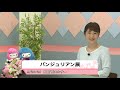 ウィークリーニュース(令和3年5月31日〜6月6日放送分)
