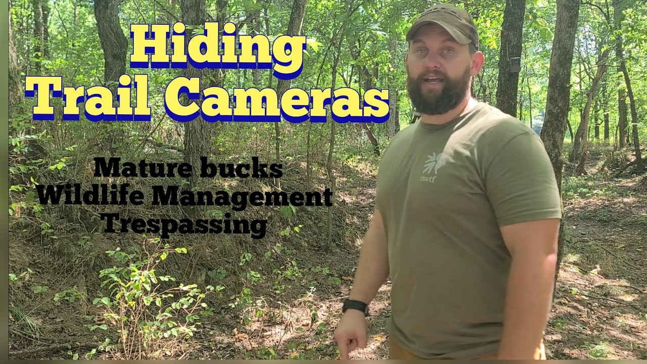 Hiding Trail Cameras KOAM Outdoors Strategies YouTube