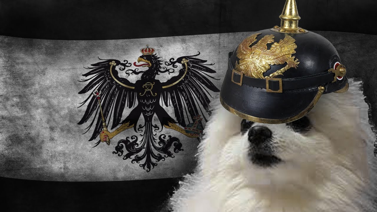 Gabe the dog National Anthem of Prussia YouTube