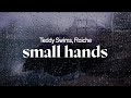 teddy swims, raiche - small hands (lyrics)