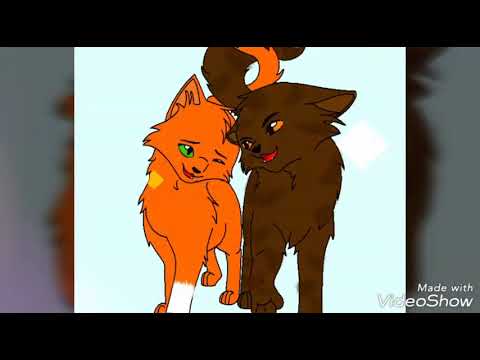 Squirrelflight//Ashfur and Brawbleclaw