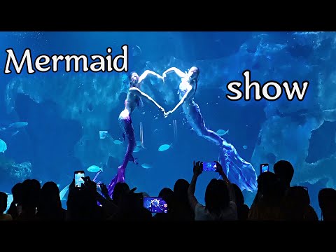 🧜‍♀️ Mermaid Show at Phuket Aquarium – Magical Moments in Thailand 🇹🇭✨