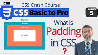 What is Padding in CSS | How to use CSS padding property | CSS Crash Course 2022 #5