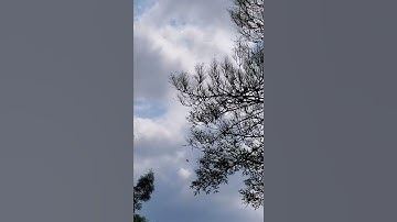 #surat Az-Zukhruf  سورة الزخرف#