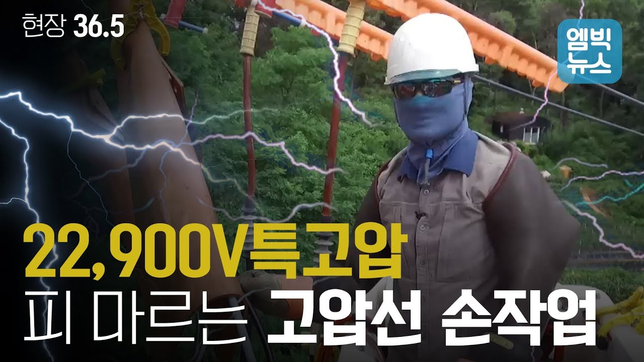 22,900V 특고압선을 직접 만지면서 작업하는 사람들