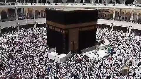 اوائل سورة المائدة